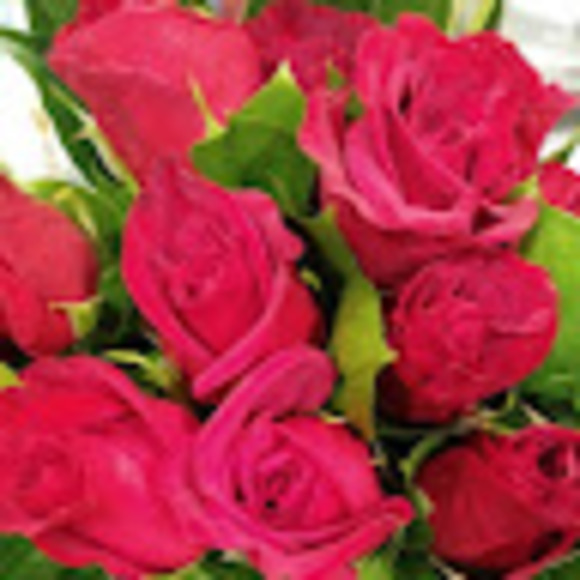 Meet your Posher, Kathryn - Picture 1 of 1